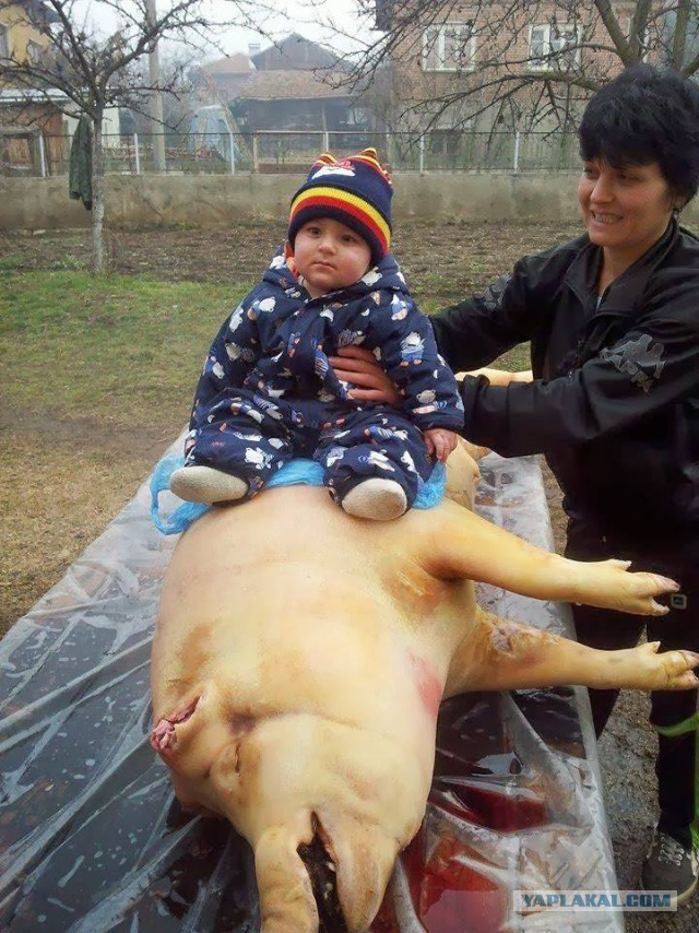 Немного картинок в эту пятницу