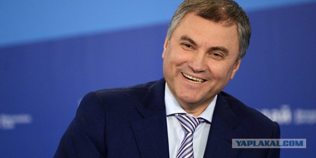 Поклонскую лишили поста главы думской комиссии по доходам