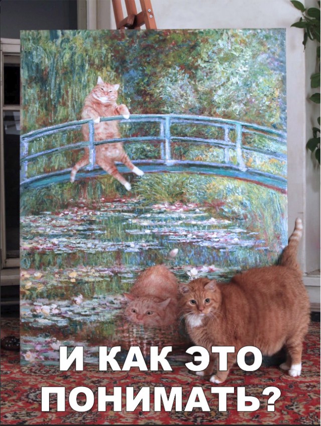 Нестандартный юмор