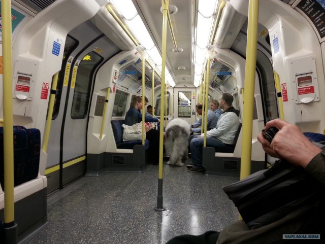 Монстр в Лондонском метро