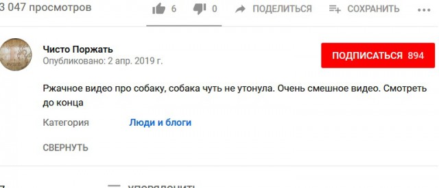 Собачка на рыбалке
