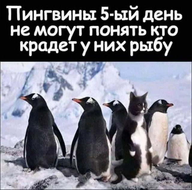 Бредзона из фотографий