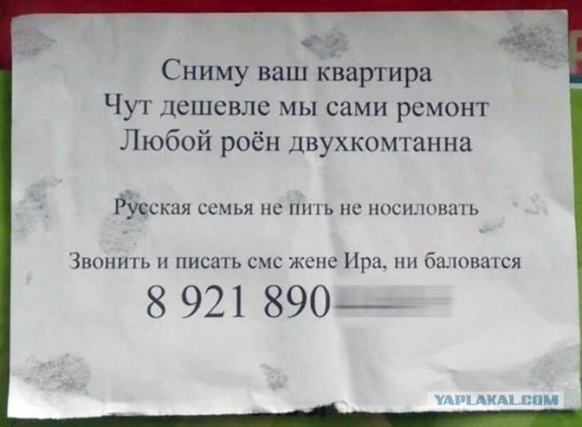 Забавные комментарии из социальных сетей (18.11.19)