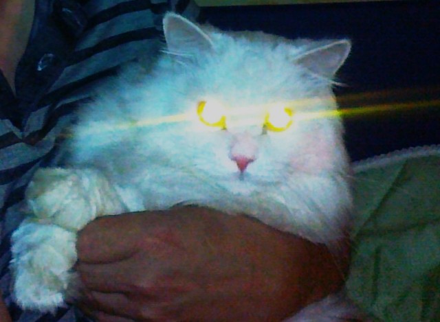 Коты с уранового рудника, надо больше урана!