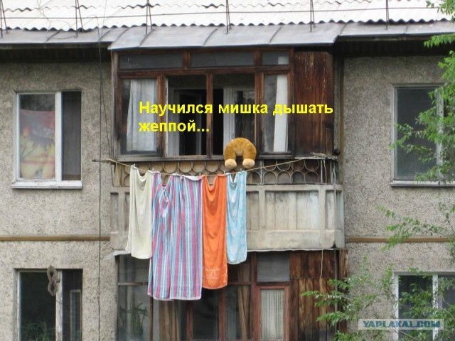 Конкурс: подпись к картинке