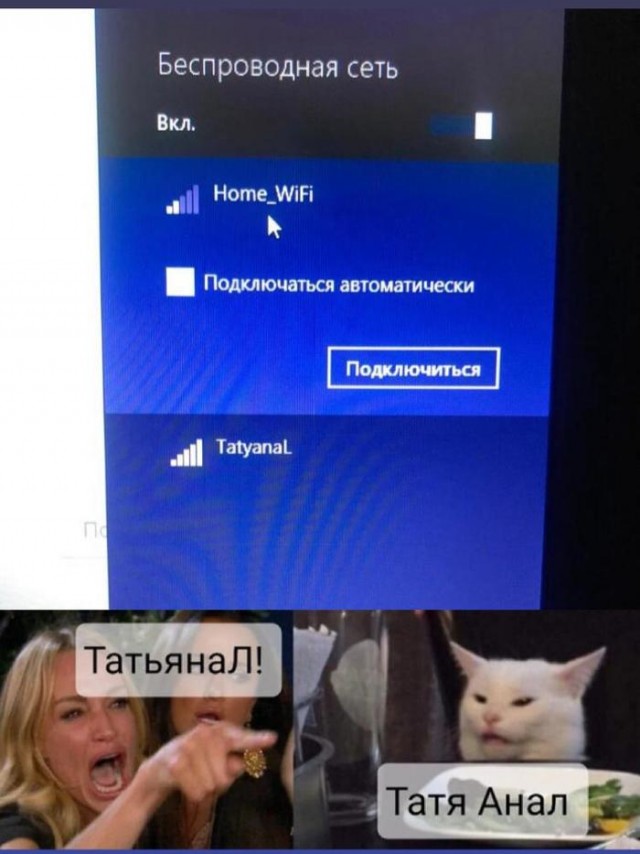 Прошёл целый год! А они всё орут на бедного котика