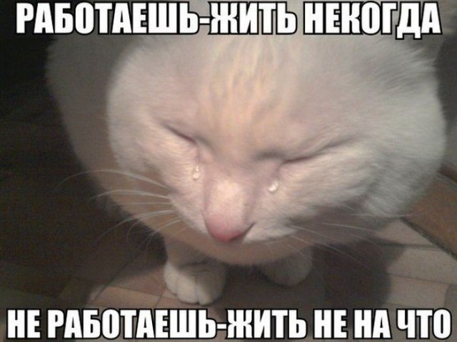 Россиян призвали перейти на осенний режим сна