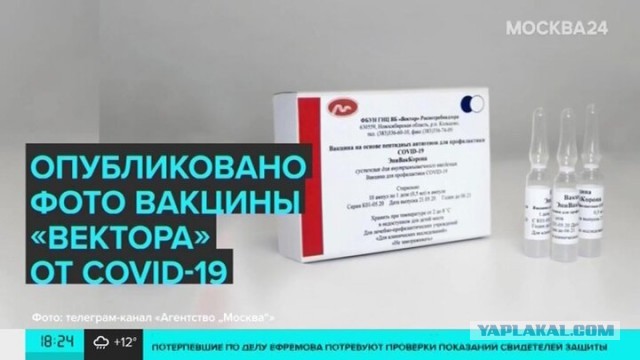 Владимир Путин поручил на следующей неделе начать массовую вакцинацию россиян от короновируса в стране