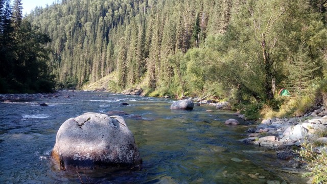 На конягах по Алтаю