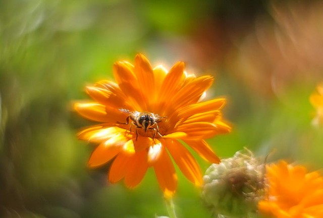 Морозная сказка