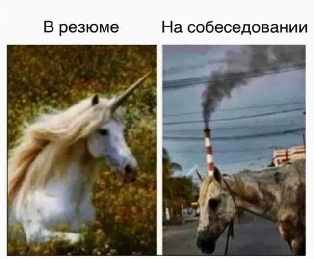 Бредзона 01.03.21