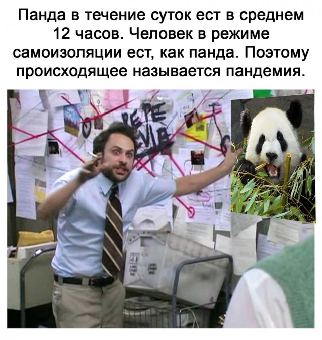Так себе картинки 11.03.2021