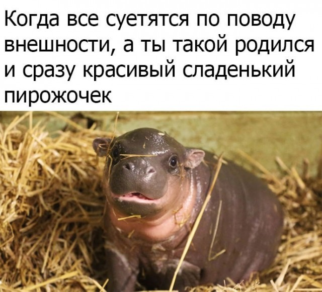 Так себе картинки 05.04.21