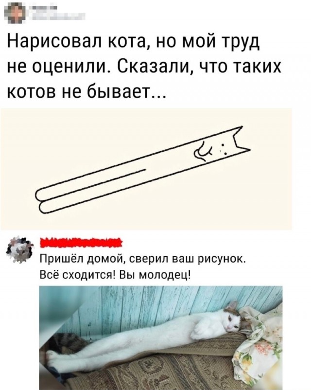 Вторник-кото
