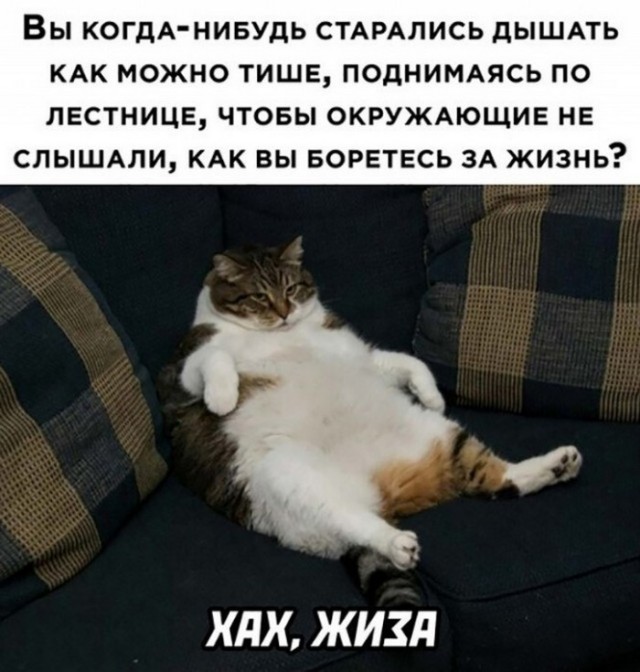 Картинки всяческие 10.01.2022