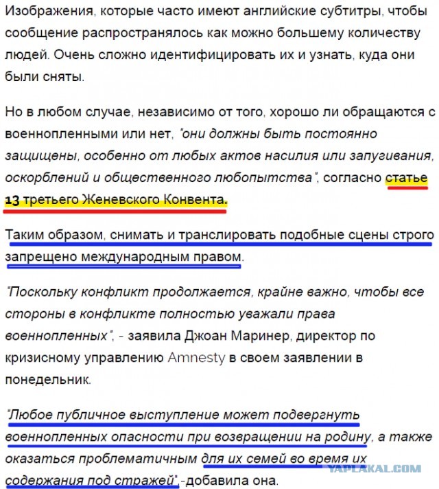 Нас ненавидят почти все в интернете.