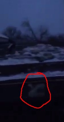 Воспитание местного населения