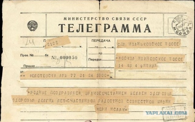 Пашке радость привалила!