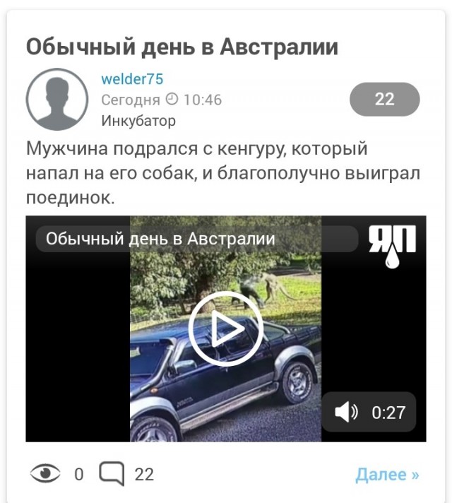 В Австралии мужчина подрался с кенгуру