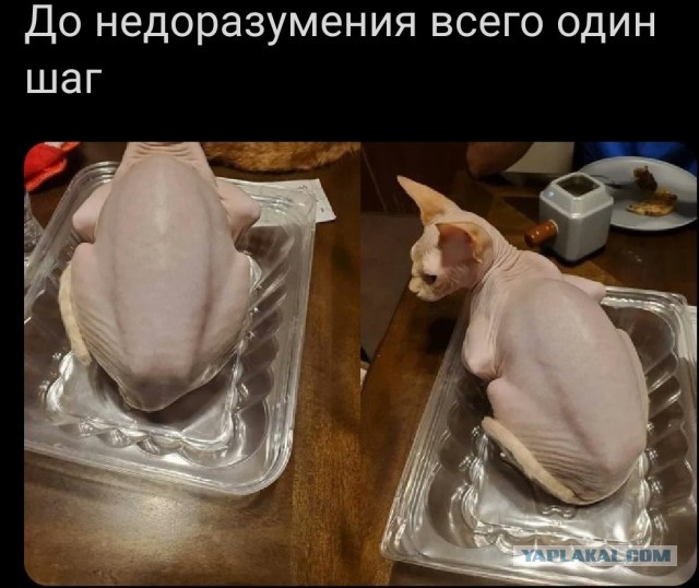 Простим?