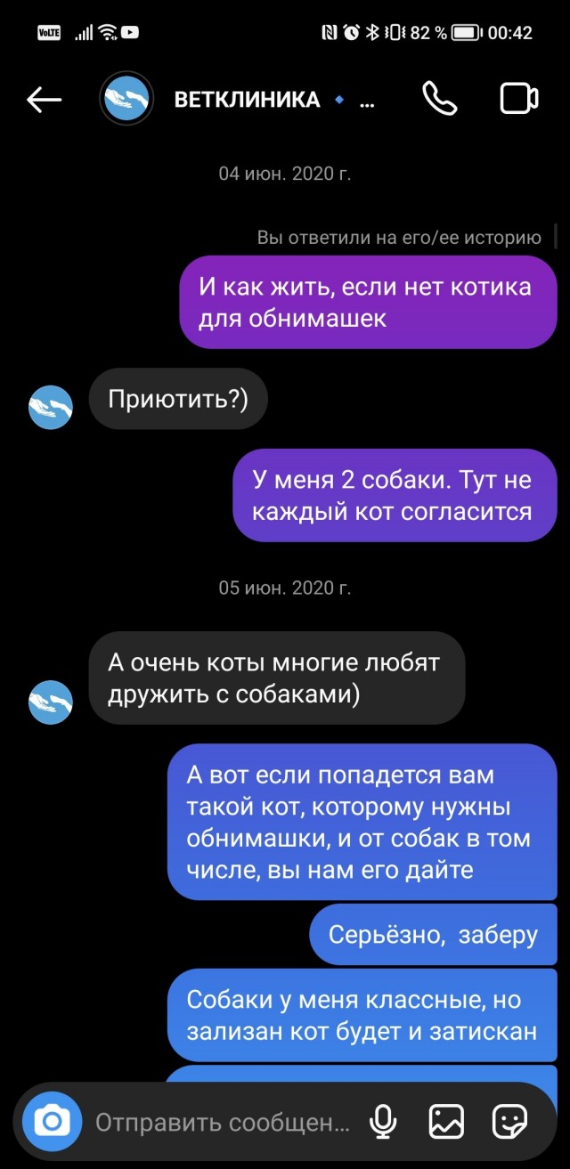 Внезапные кошки