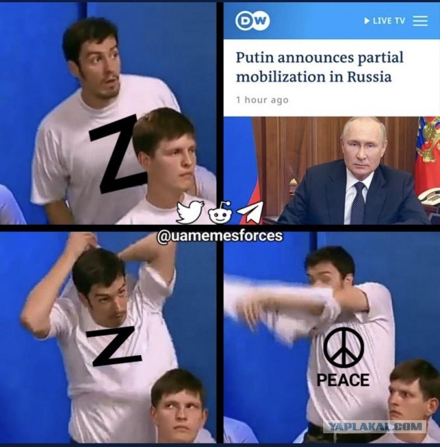 На злобу дня. Частично мобилизационное