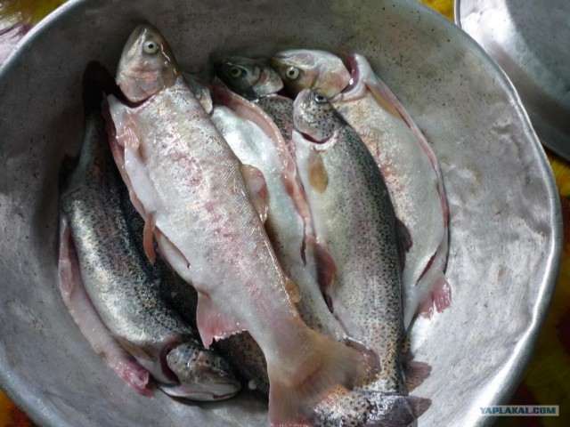 Абхазия там где....