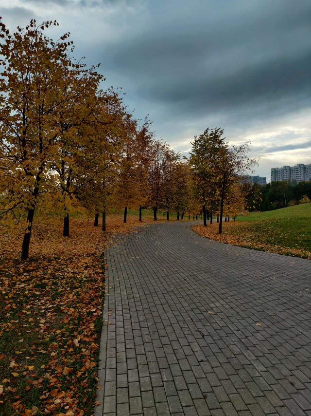 Поделимся красивыми фото с телефона?