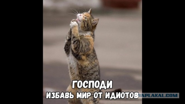 Мобилизованные получили выплаты. Самое большое вознаграждение — 1081 рубль