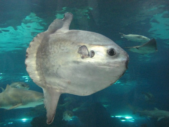 Испания - чудесная страна!