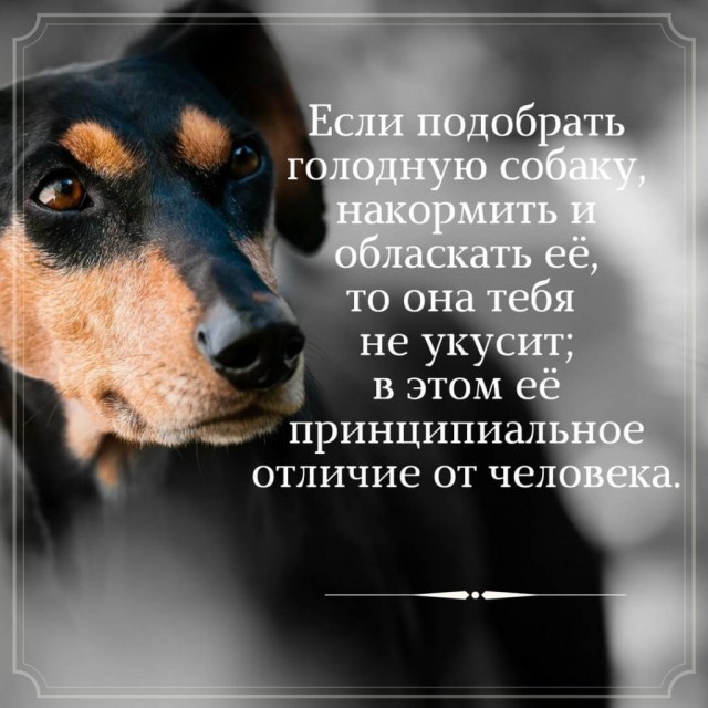 Сборник Боянов №2