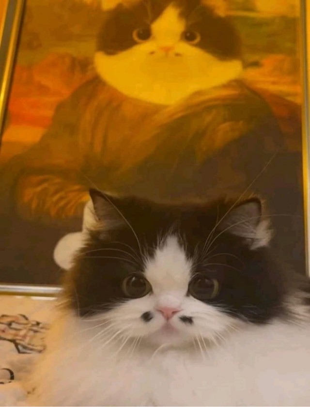 Коты-работяги