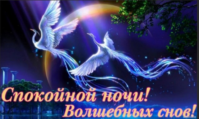 Победная поступь идиотизма по планете – том 11