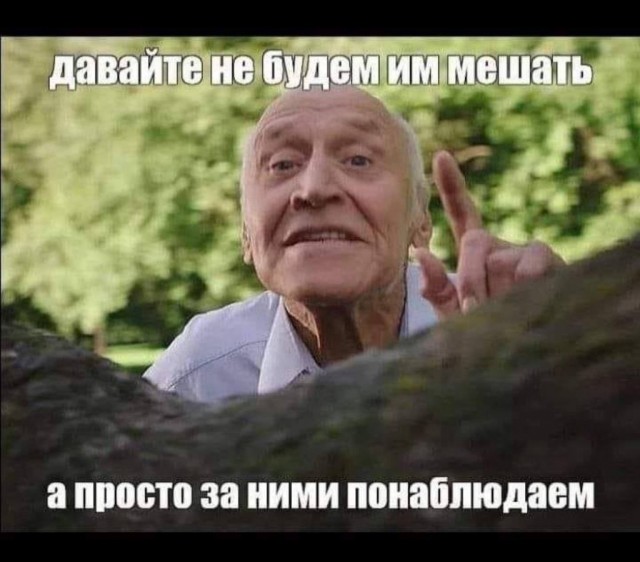 Правая рука Кадырова Делимханов высказался о Пригожине