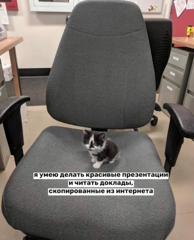 Прикольные и просто красивые картинки 27.06.2023