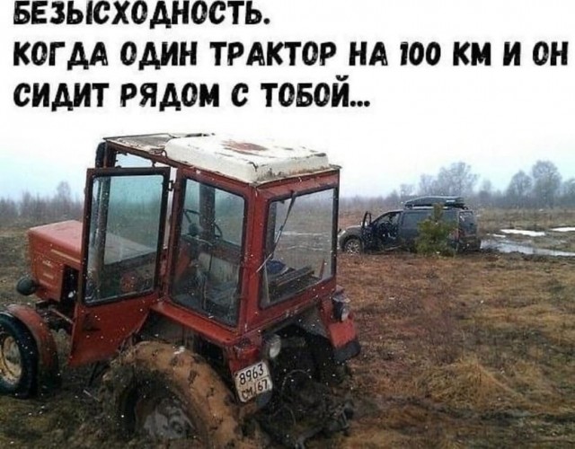 Так себе картинки 17.08.23