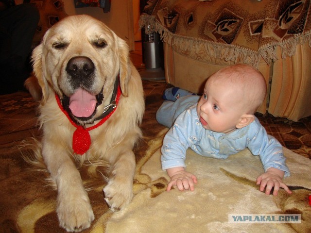 Няшность и ...