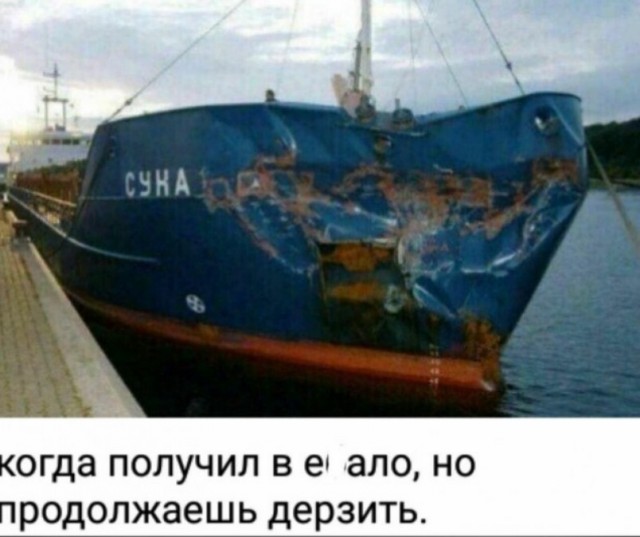 Весёлый полтишок 01.11.23