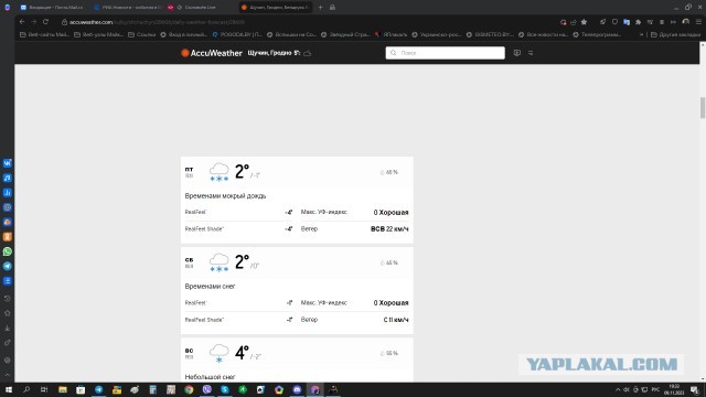 Жизнь домашнего приюта для котеек 469