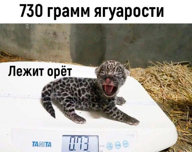 Всего понемногу. От 15.12.23