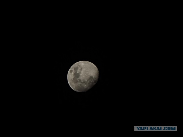 Первый раз увидел "вживую"