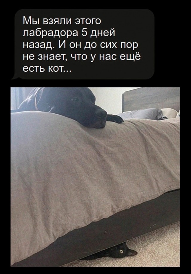 Так себе картинки 09.02.24