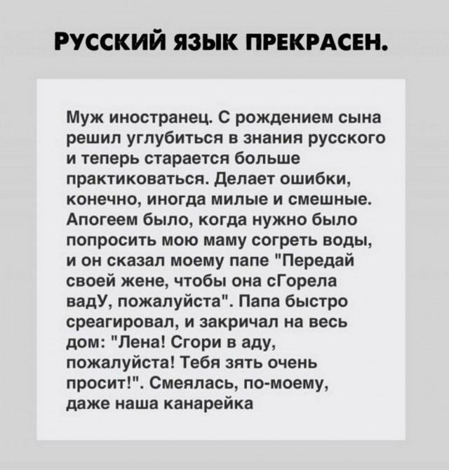 Нуштош 15.05.2024