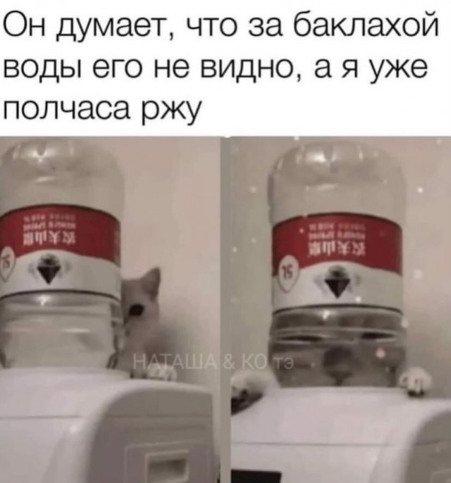 Завалялось тут случайно немного забавных картинок