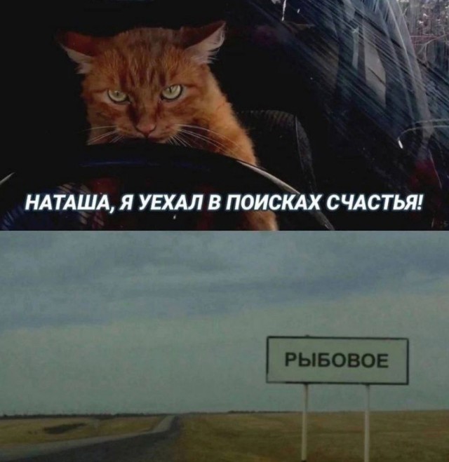 Так себе картинки 15.07.24