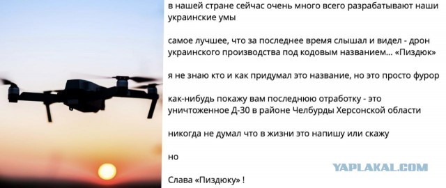 Птичка.