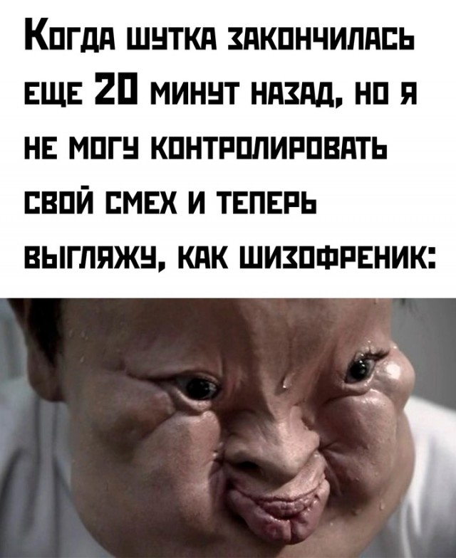 Весёлый полтишок 08.01.25