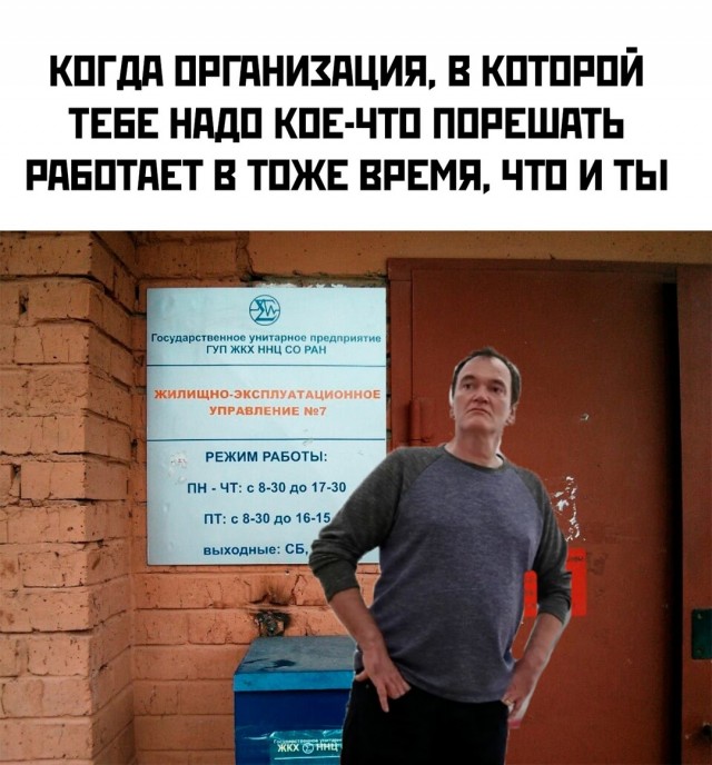 Весёлый полтишок 23.01.25