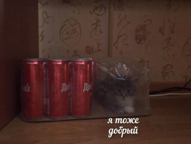 Так себе картинки 02.03.25