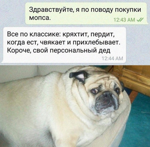 Так себе картинки 04.03.25